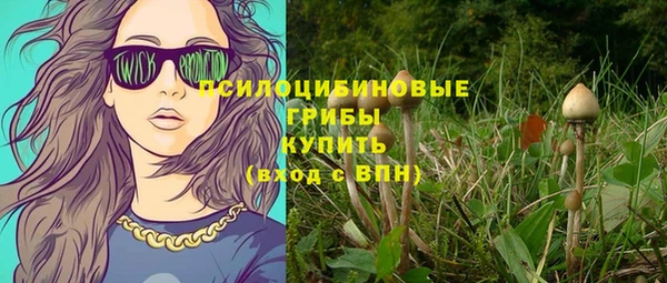 стафф Богданович