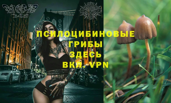 герыч Верхний Тагил