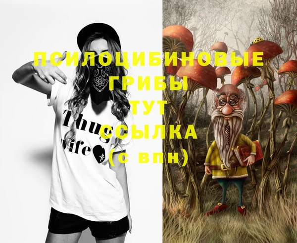 каннабис Верея