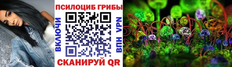 KRAKEN tor Добрянка Псилоцибиновые грибы мицелий